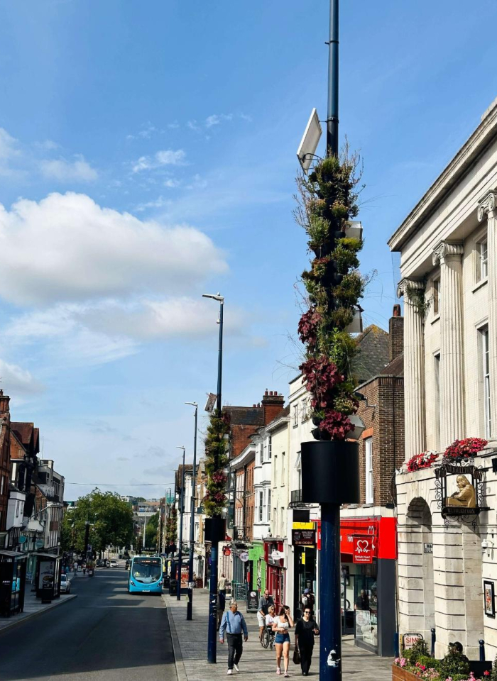 Living Pillars 5(C) Lucy Byrne MBC